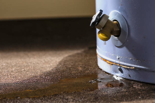 Best 24/7 water damage repair  in Alexander, AR