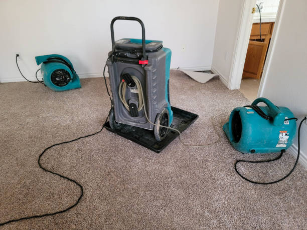 Best 24/7 water damage repair  in Alexander, AR