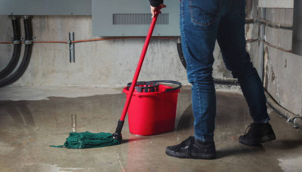 Best Water damage restoration near me  in Alexander, AR