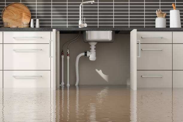 Best Emergency water damage restoration  in Alexander, AR