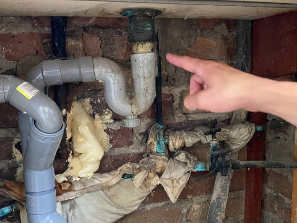 Best Sewage cleanup and water damage restoration  in Alexander, AR
