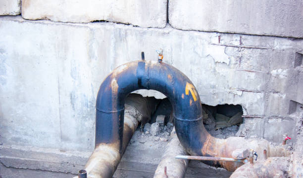 Best Flooded house restoration  in Alexander, AR