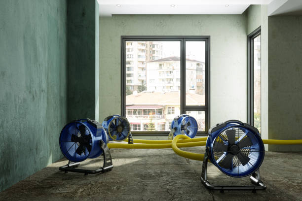 Carpet water damage restoration in AR
