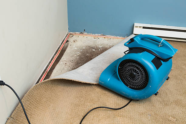 Best Fire Damage Restoration  in Alexander, AR